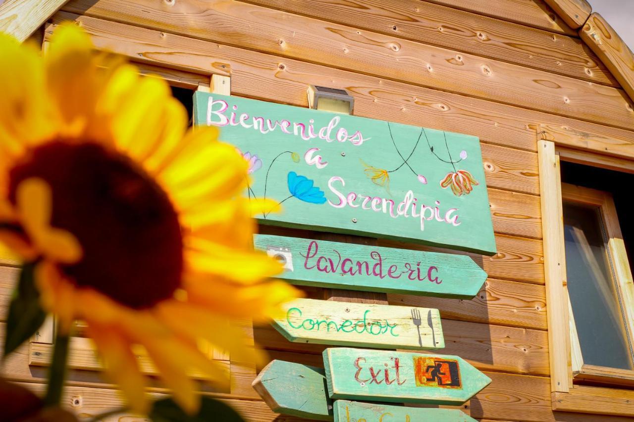 Macaronesia Love Spa, Sauna Y Piscina Buzanada 外观 照片