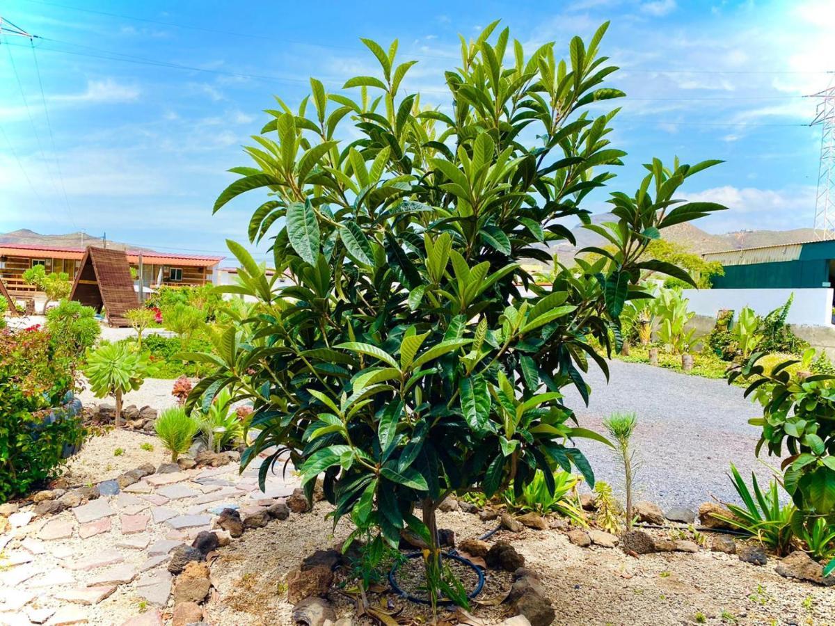 Macaronesia Love Spa, Sauna Y Piscina Buzanada 外观 照片